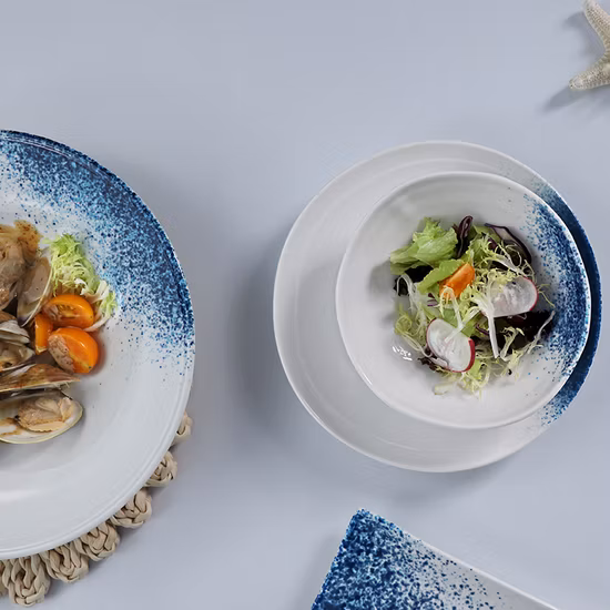 Porcelain Factory Hotel Supply Tableware Set Pasta Seafood Plates Set Scallops Plate Dinnerware Set for Restaurant