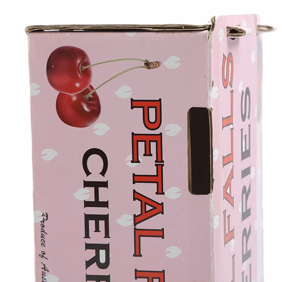 Samle grátis/fábrica na China/serviço personalizado/caixa de frutas de papelão ondulado